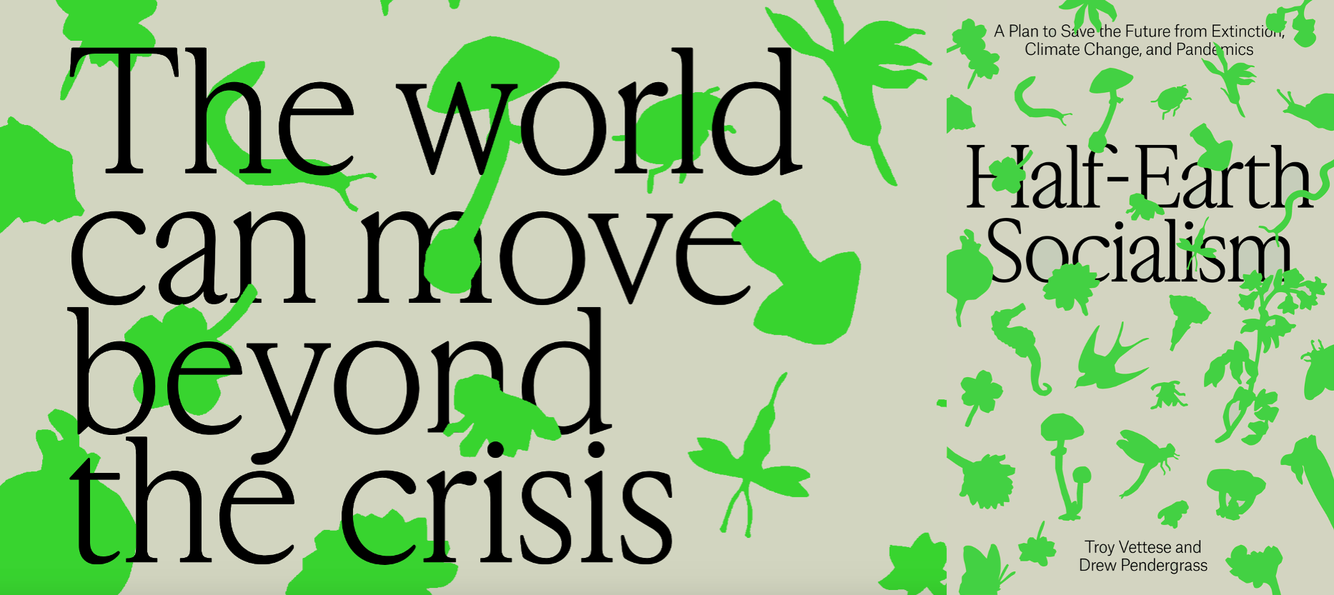 We can move beyond the crisis Half-Earth Socialism book graphic.